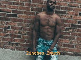 2inches_2much