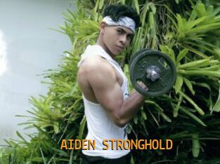 AIDEN_STRONGHOLD