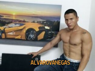 ALVAROVANEGAS