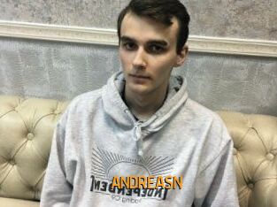 ANDREAS_N