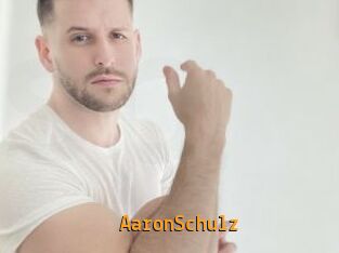 AaronSchulz