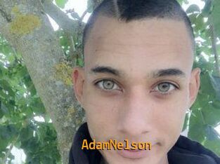 Adam_Nelson