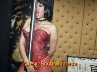 AlexaBoobsBondage