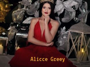 Alicce_Greey