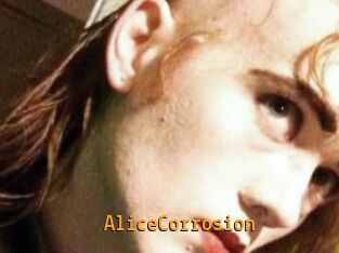 AliceCorrosion