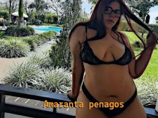 Amaranta_penagos