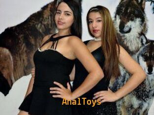 AnalToys