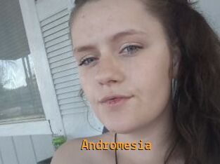 Andromesia