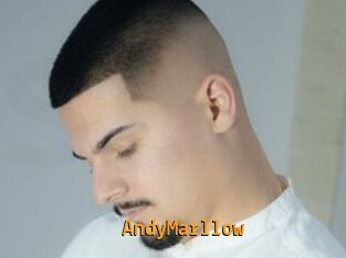AndyMarllow
