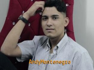 AndyMontenegro