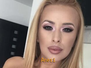 Aneri
