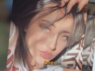 Aneu