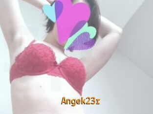 Angek23r