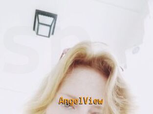 AngelView