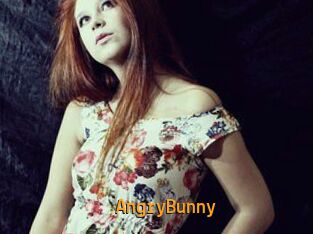 AngryBunny