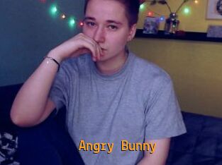 Angry_Bunny
