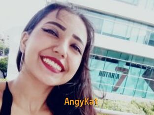 AngyKat
