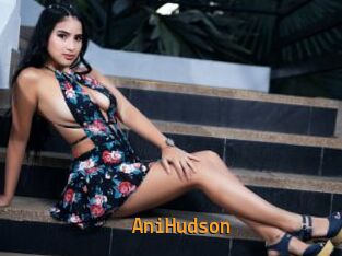 AniHudson