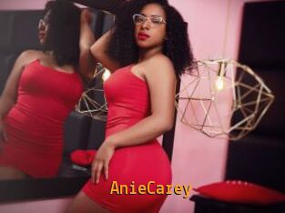 AnieCarey