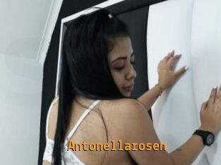 Antonellarosen