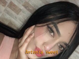 Antonia_sweet