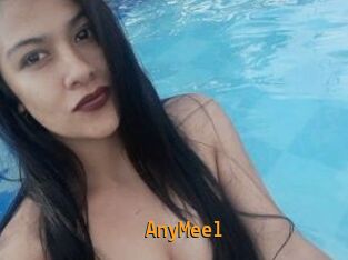 AnyMeel