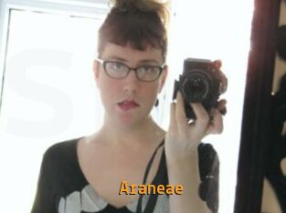 Araneae