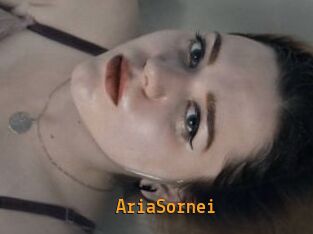 AriaSornei