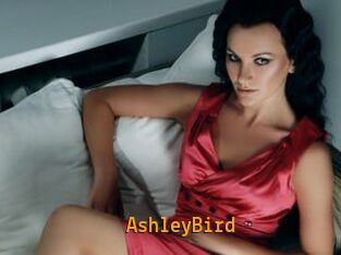 AshleyBird Sexcam Portal