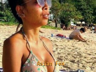 Asian_Fox