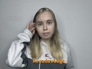 accadavidge Sexcam Portal
