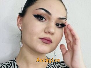 Accagise