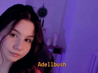 Adellbush