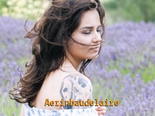 Aerinbaudelaire