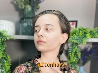Aftonhase