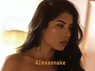 Alexasnake