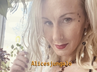 Alicesjungalo