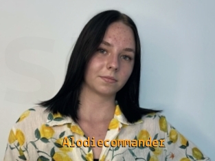 Alodiecommander
