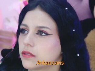 Ambarcams