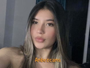 ambercams Sexcam Portal