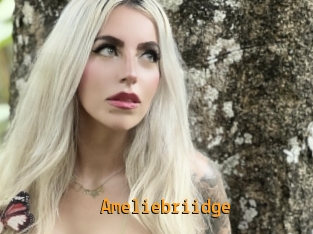 Ameliebriidge