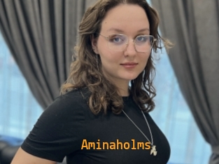 Aminaholms