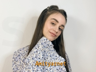 Amityarnet