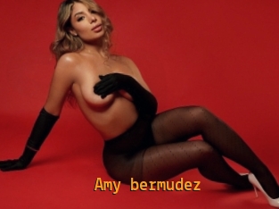 Amy_bermudez