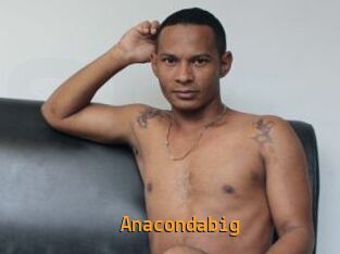 Anacondabig