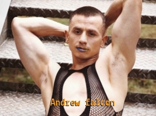 Andrew_falcon