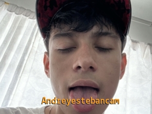 Andreyestebancam