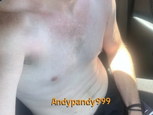Andypandy999