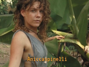 Aniccaspinelli