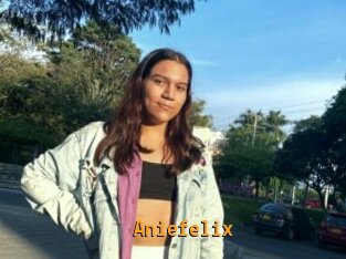 Aniefelix